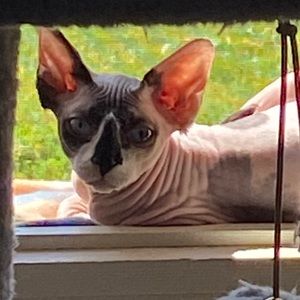 Meet your Posher, Theresa